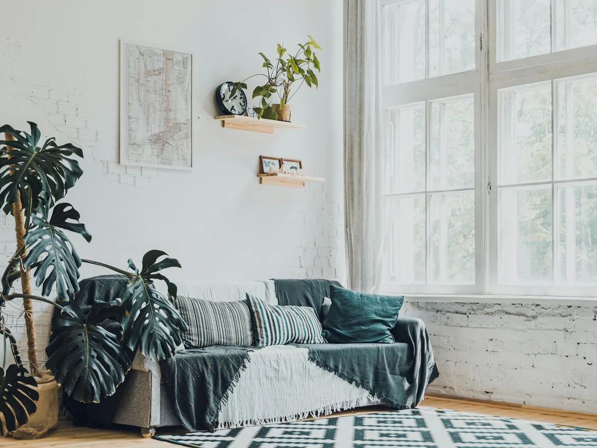 A cozy, plant-filled living room