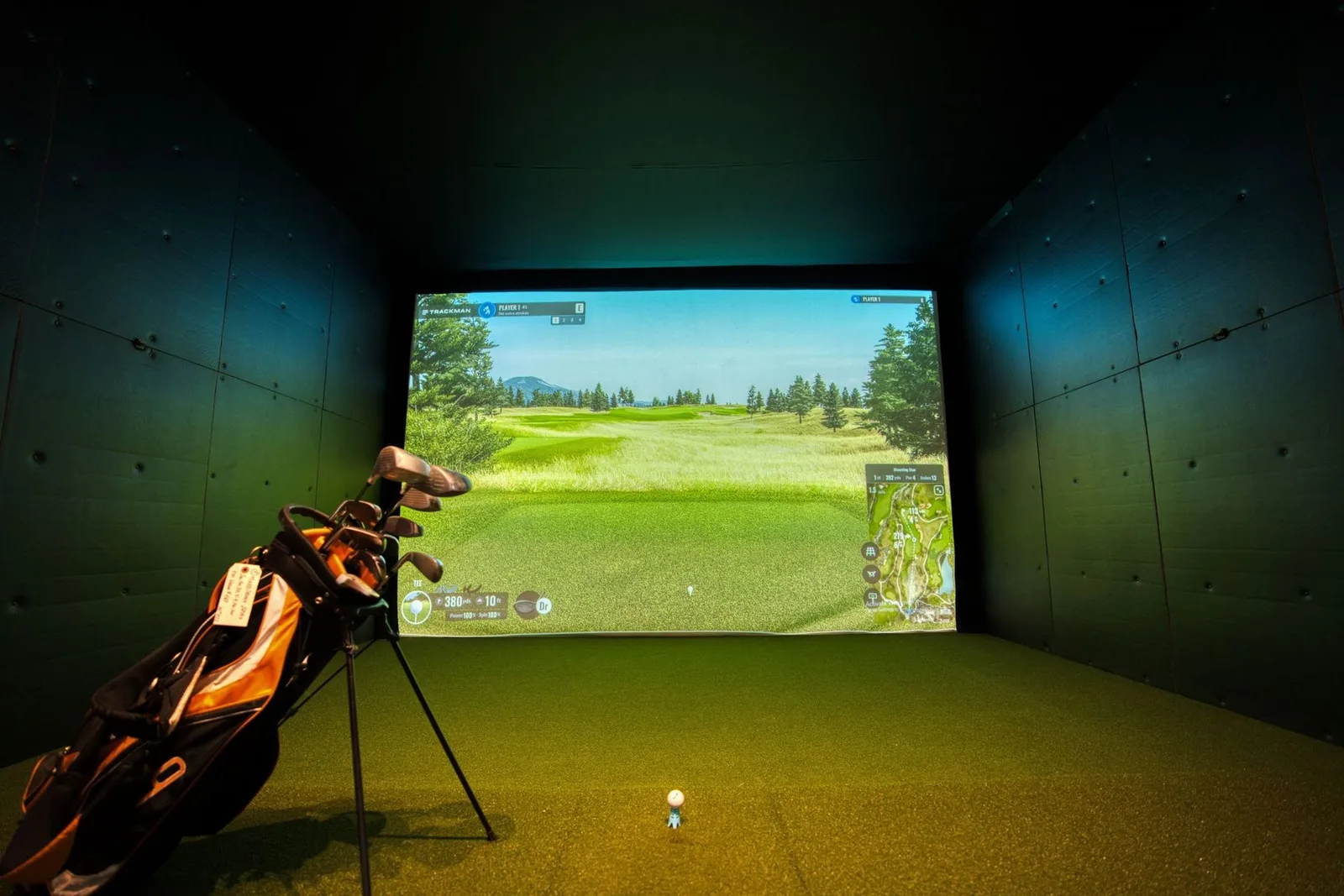 Premium golf simulator room